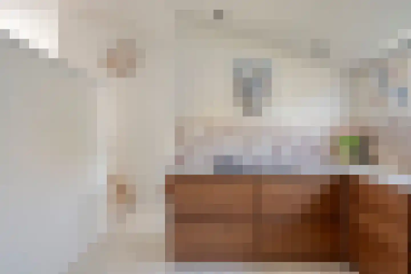 Schelling 6 Herkenbosch thumbnail 8