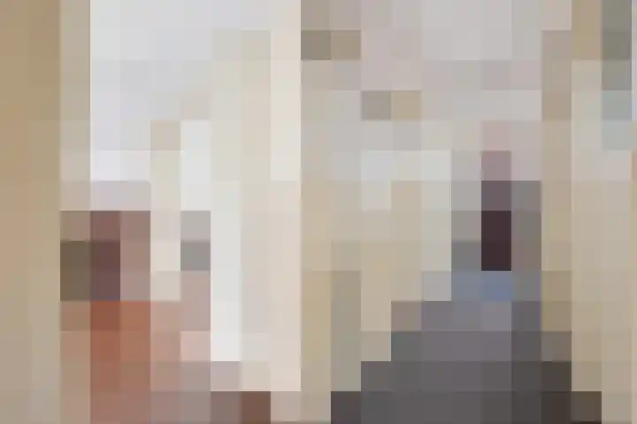 Schellinglaan 14 Voorburg thumbnail 10