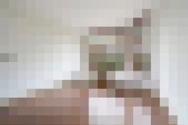Schellinglaan 14 Voorburg thumbnail 12