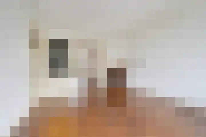 Schellinglaan 14 Voorburg thumbnail 14