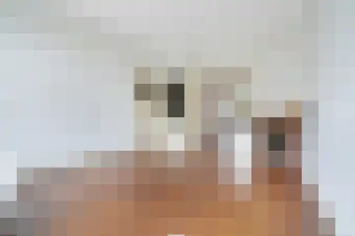 Schellinglaan 14 Voorburg thumbnail 15