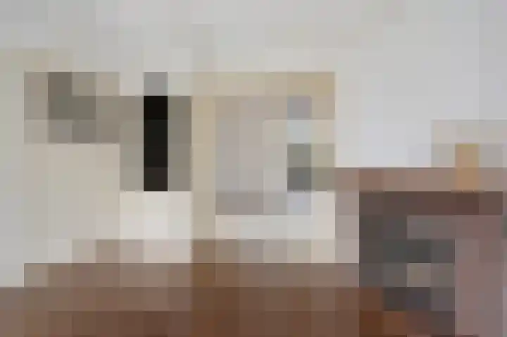 Schellinglaan 14 Voorburg thumbnail 16