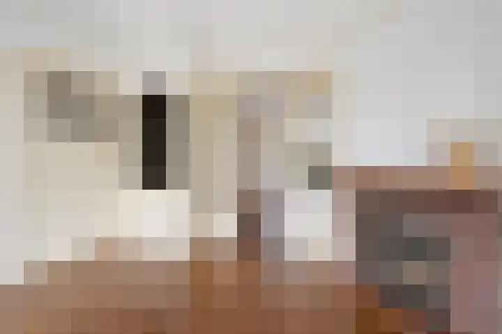 Schellinglaan 14 Voorburg thumbnail 17