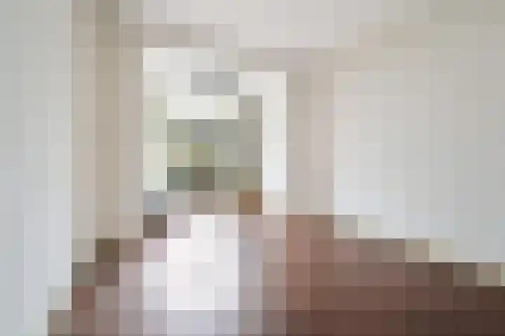 Schellinglaan 14 Voorburg thumbnail 19