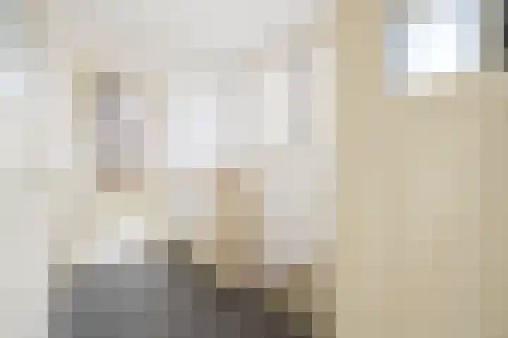Schellinglaan 14 Voorburg thumbnail 31