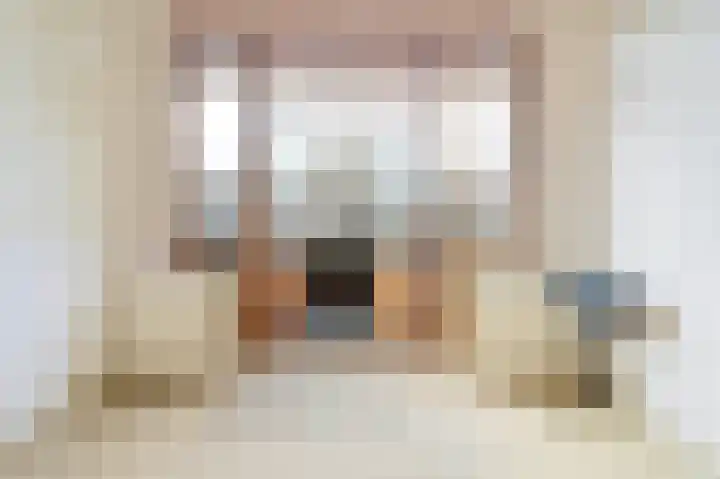 Schellinglaan 14 Voorburg thumbnail 35