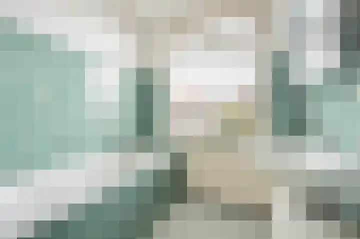 Schellinglaan 14 Voorburg thumbnail 39