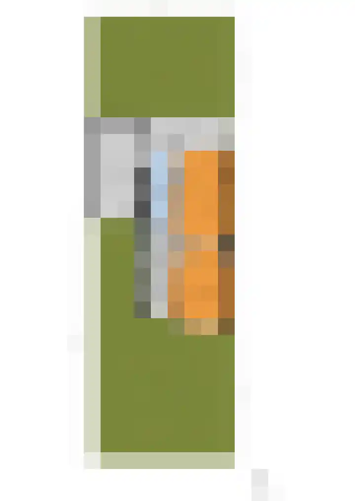 Schellinglaan 14 Voorburg thumbnail 59