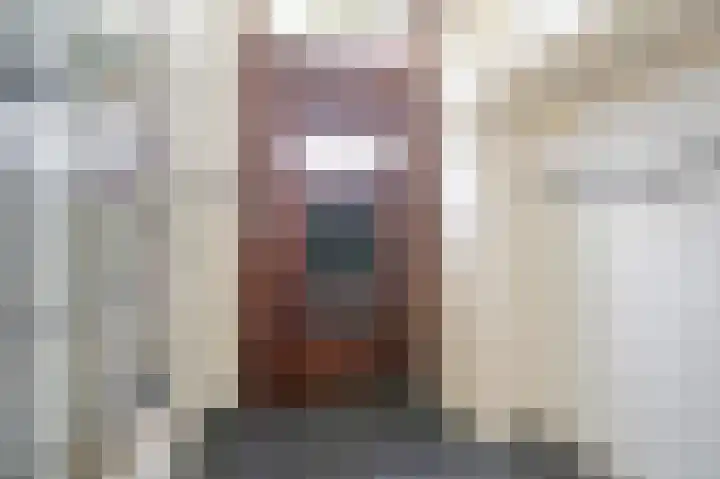 Schellinglaan 14 Voorburg thumbnail 8