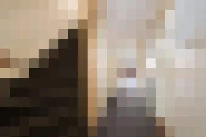 Schellinglaan 14 Voorburg thumbnail 9