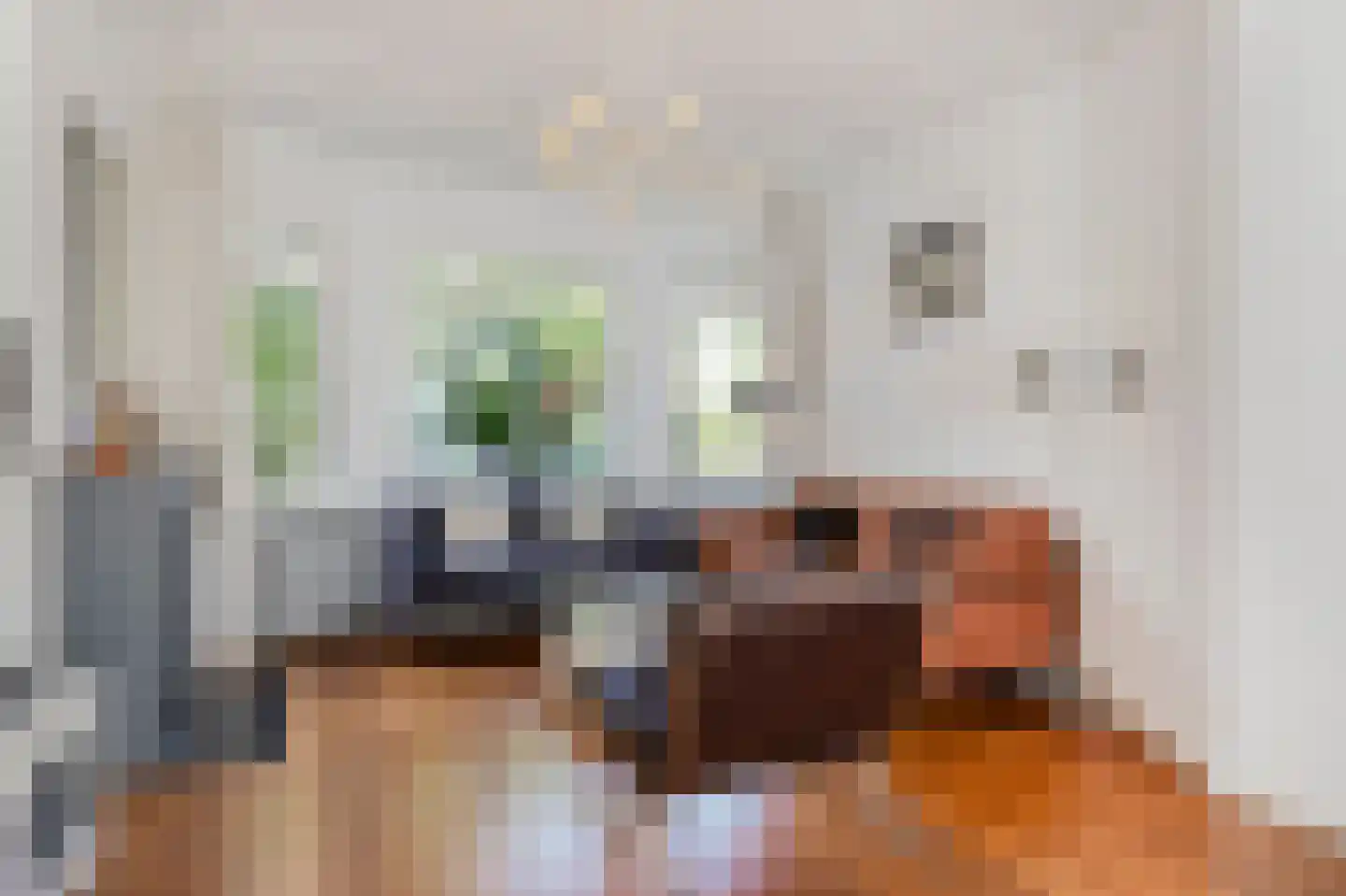Schellinglaan 19 Voorburg thumbnail 13