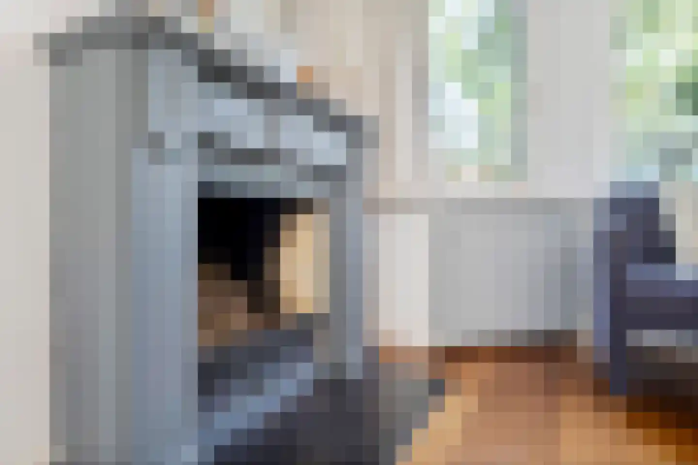 Schellinglaan 19 Voorburg thumbnail 14
