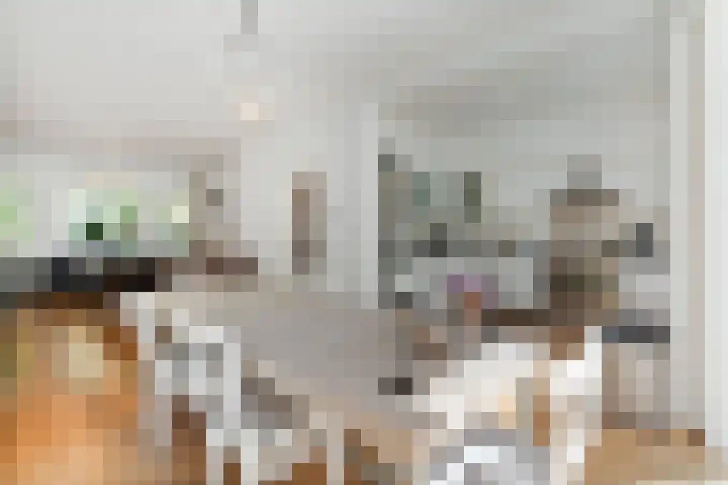 Schellinglaan 19 Voorburg thumbnail 18