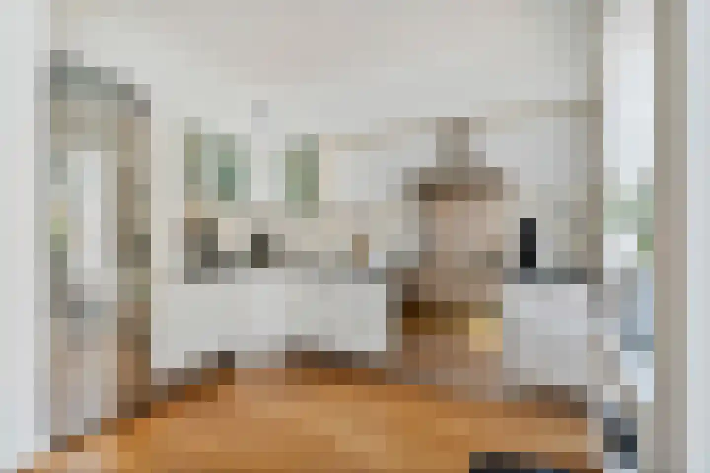 Schellinglaan 19 Voorburg thumbnail 20