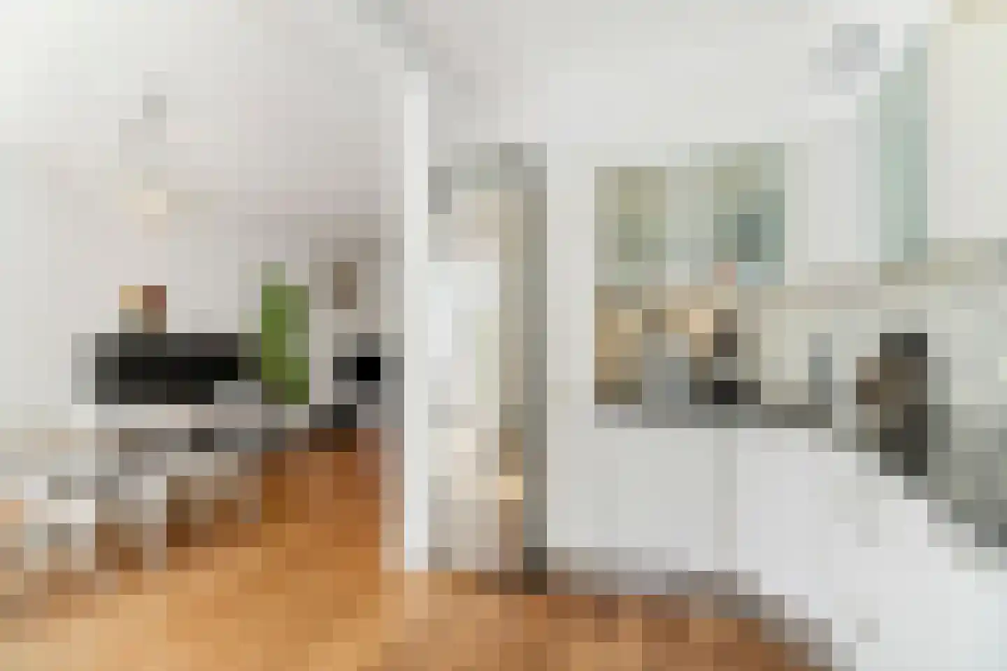 Schellinglaan 19 Voorburg thumbnail 21