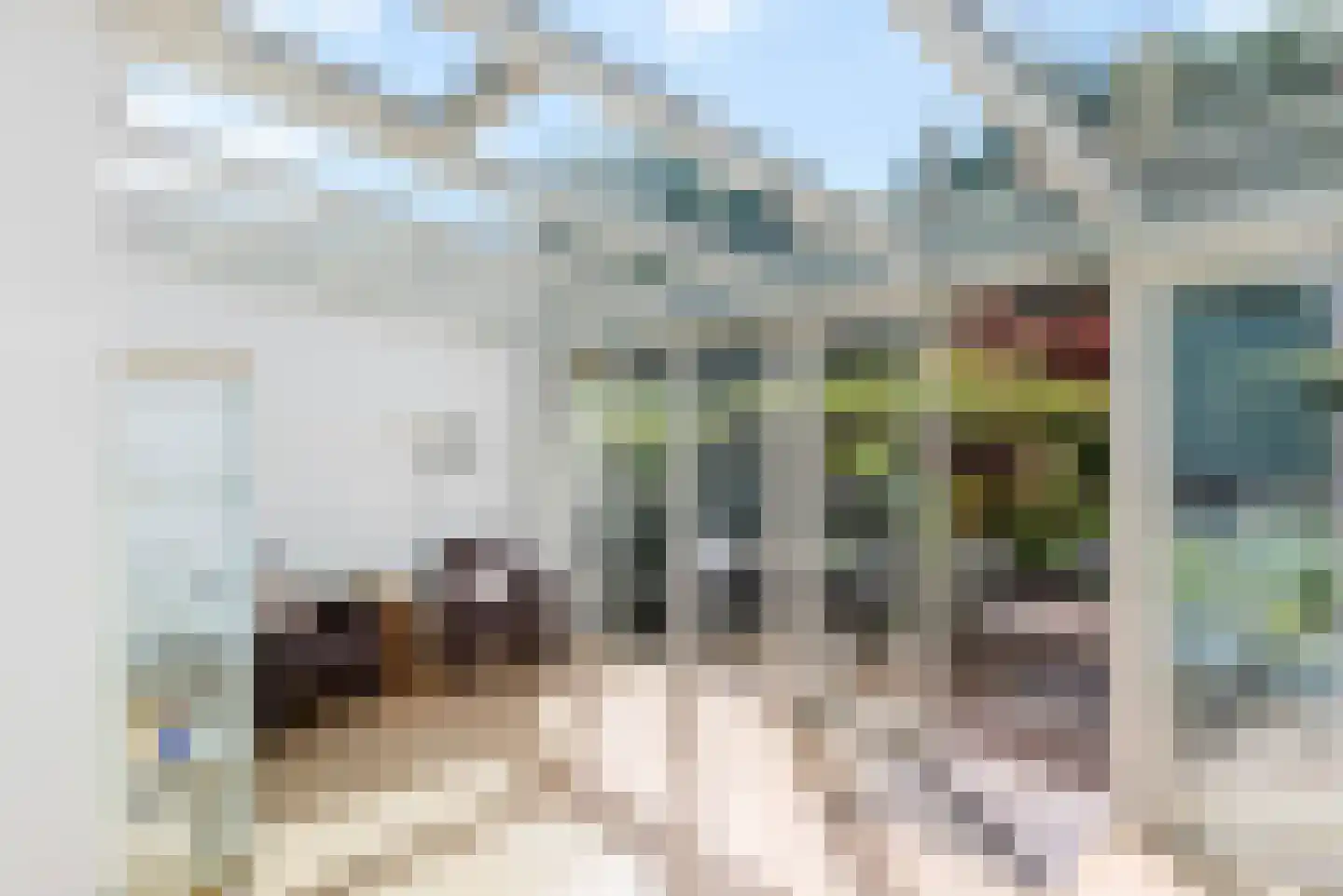 Schellinglaan 19 Voorburg thumbnail 23