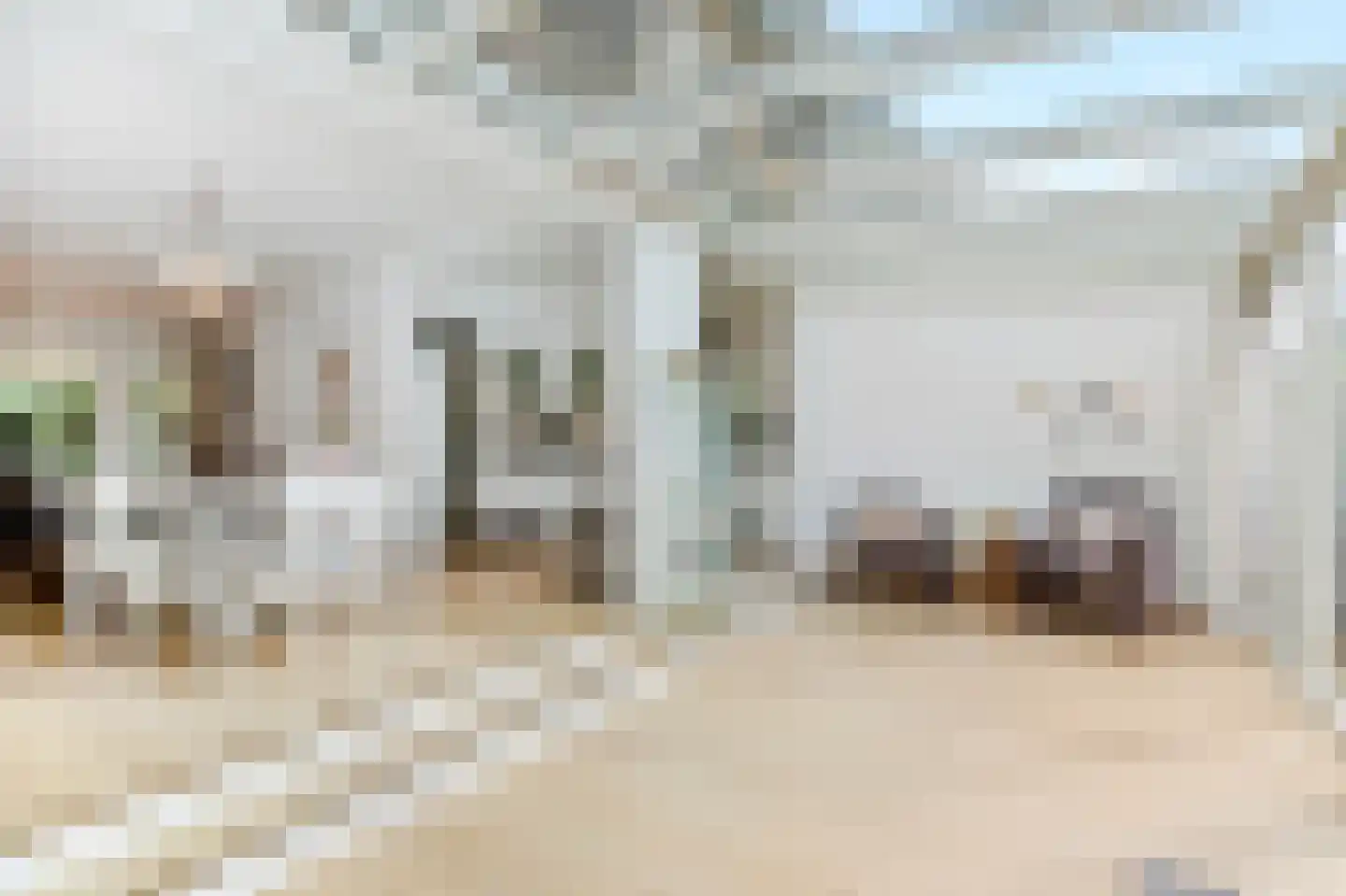 Schellinglaan 19 Voorburg thumbnail 24