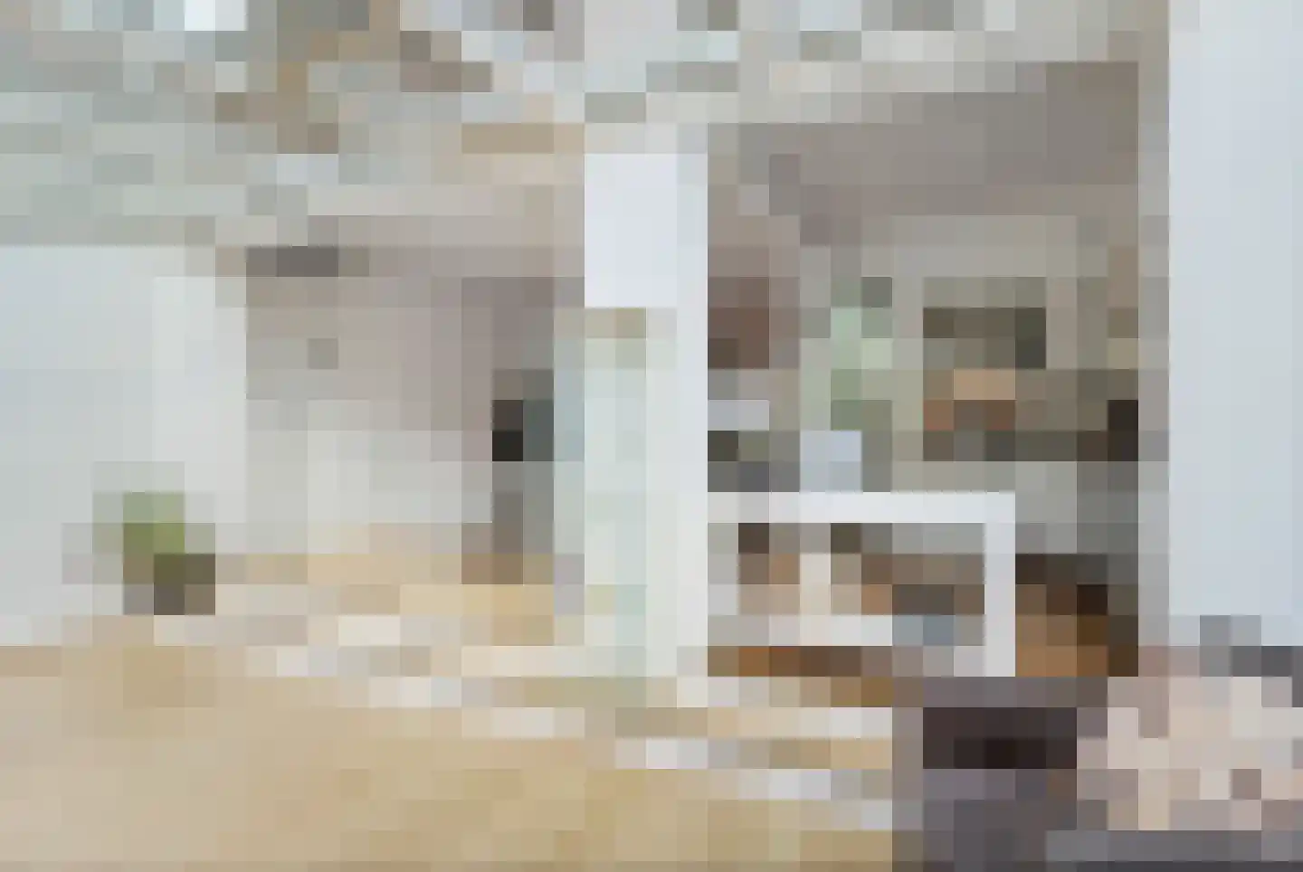 Schellinglaan 19 Voorburg thumbnail 25