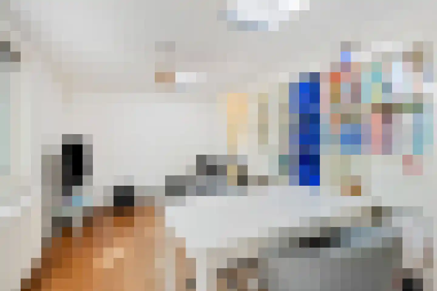 Schellinglaan 19 Voorburg thumbnail 26
