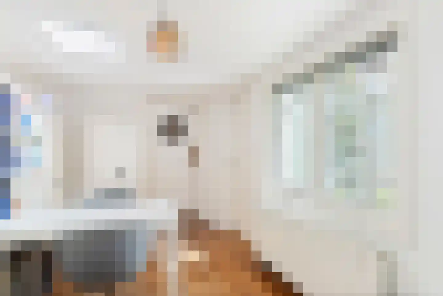 Schellinglaan 19 Voorburg thumbnail 28