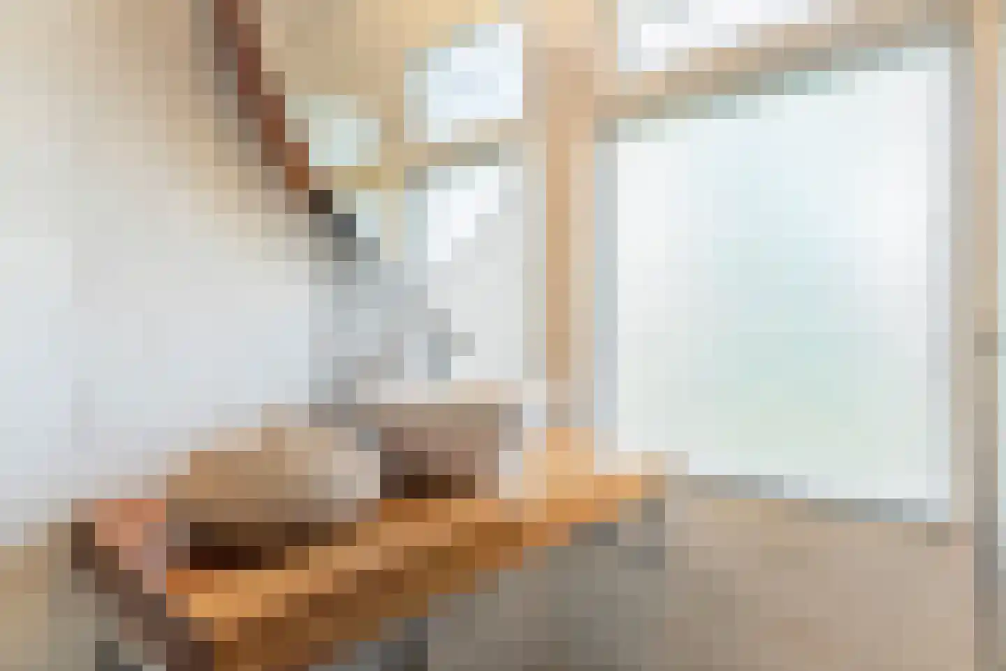 Schellinglaan 19 Voorburg thumbnail 33