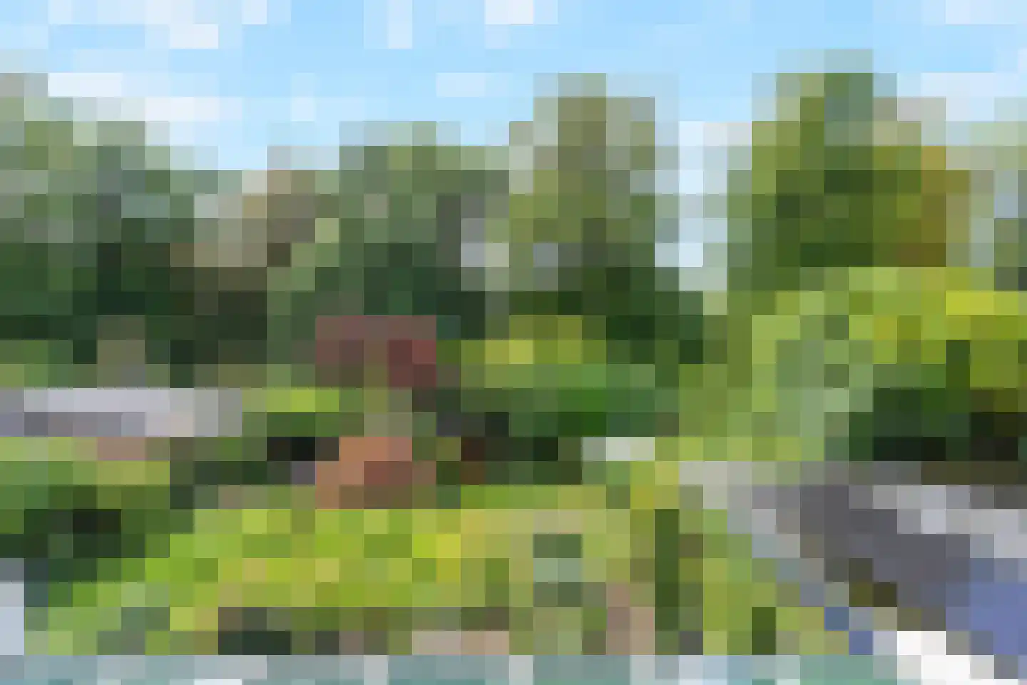 Schellinglaan 19 Voorburg thumbnail 36