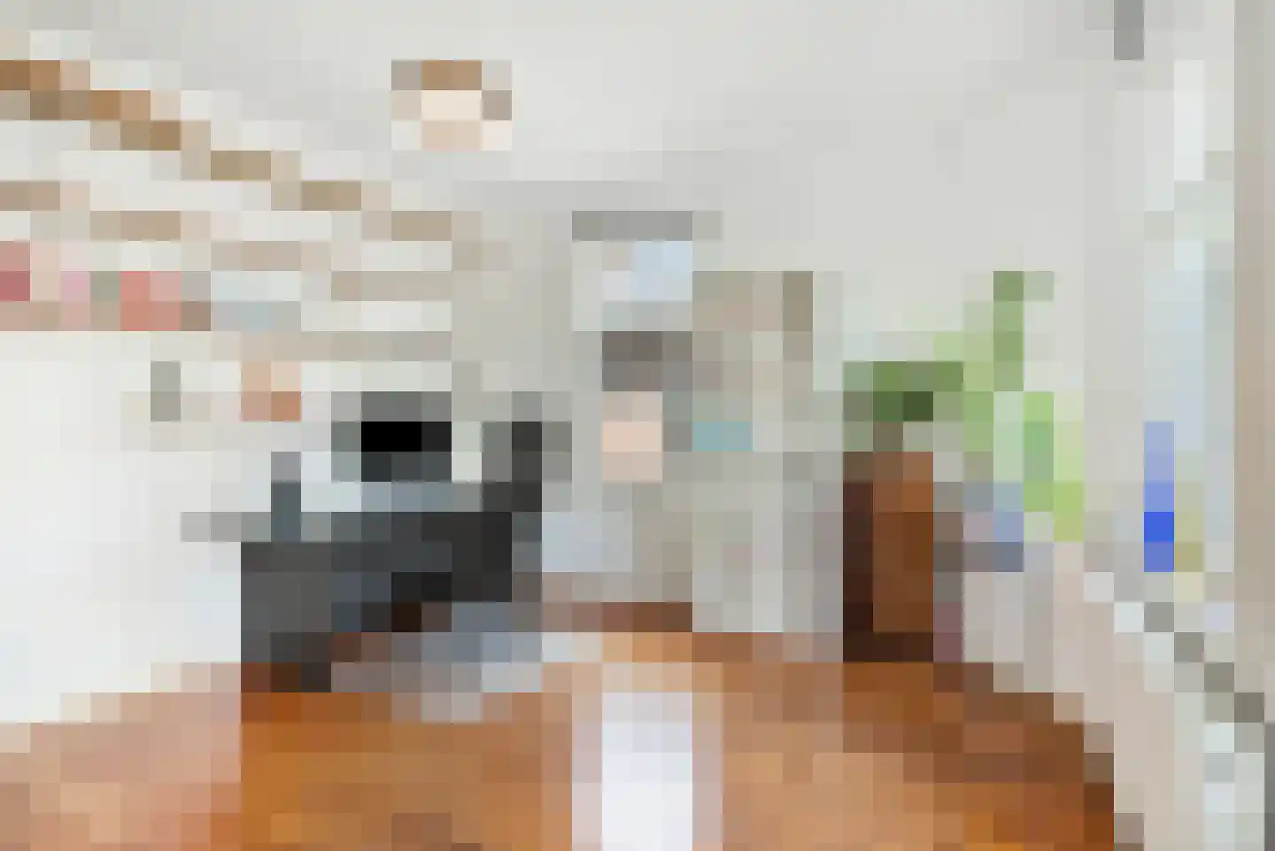 Schellinglaan 19 Voorburg thumbnail 37