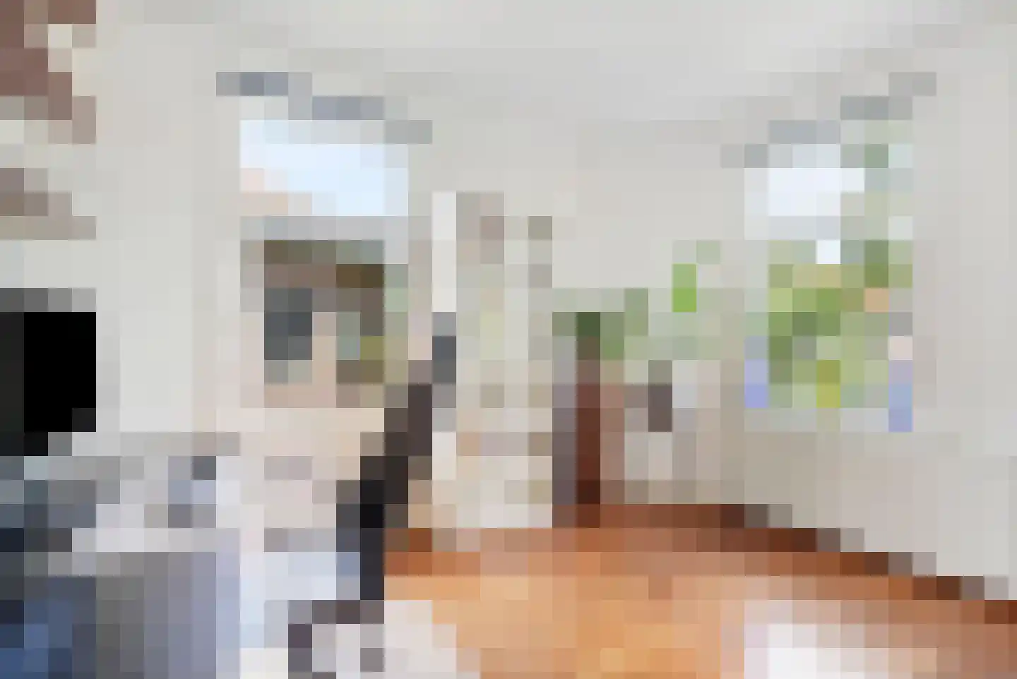 Schellinglaan 19 Voorburg thumbnail 39
