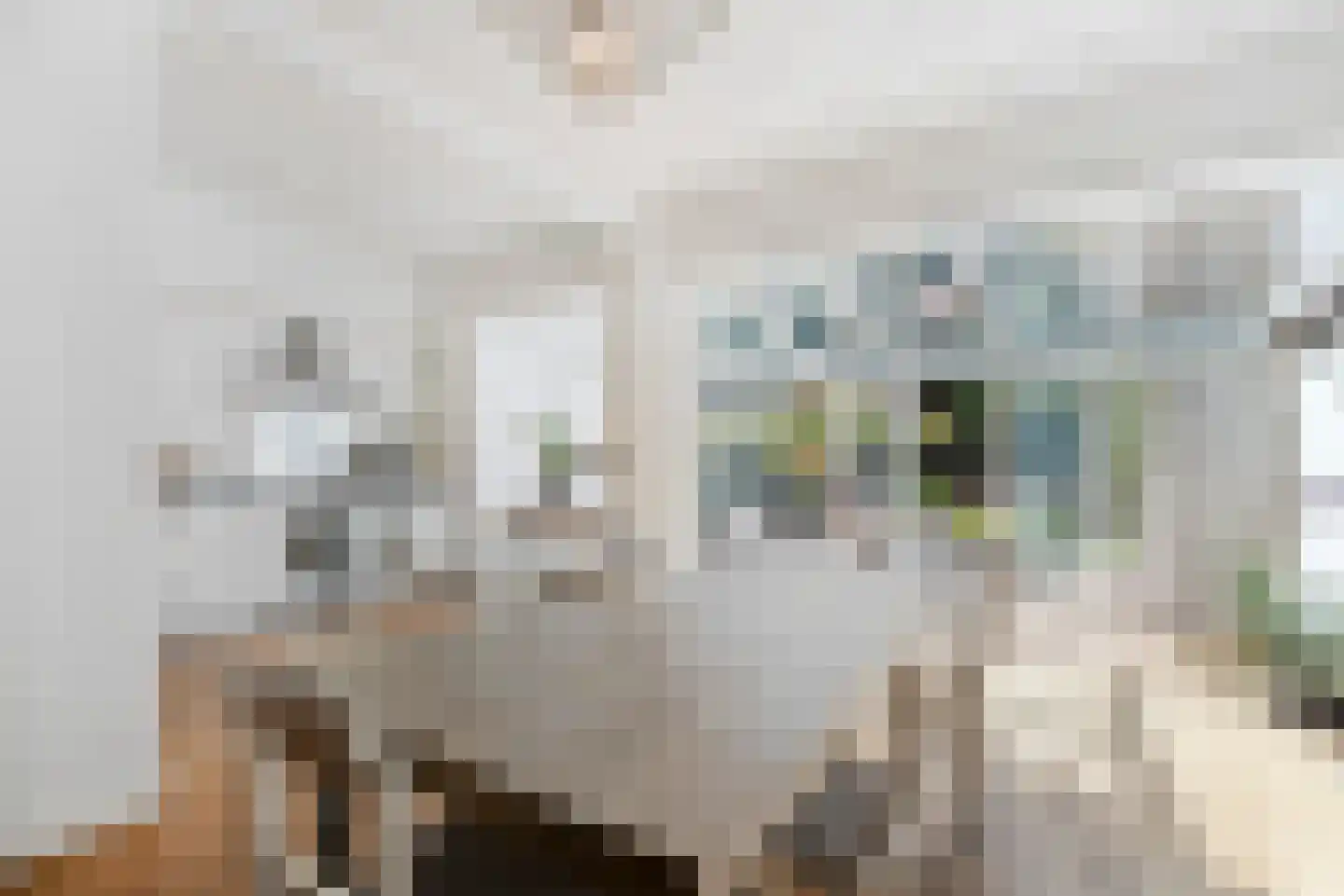 Schellinglaan 19 Voorburg thumbnail 4