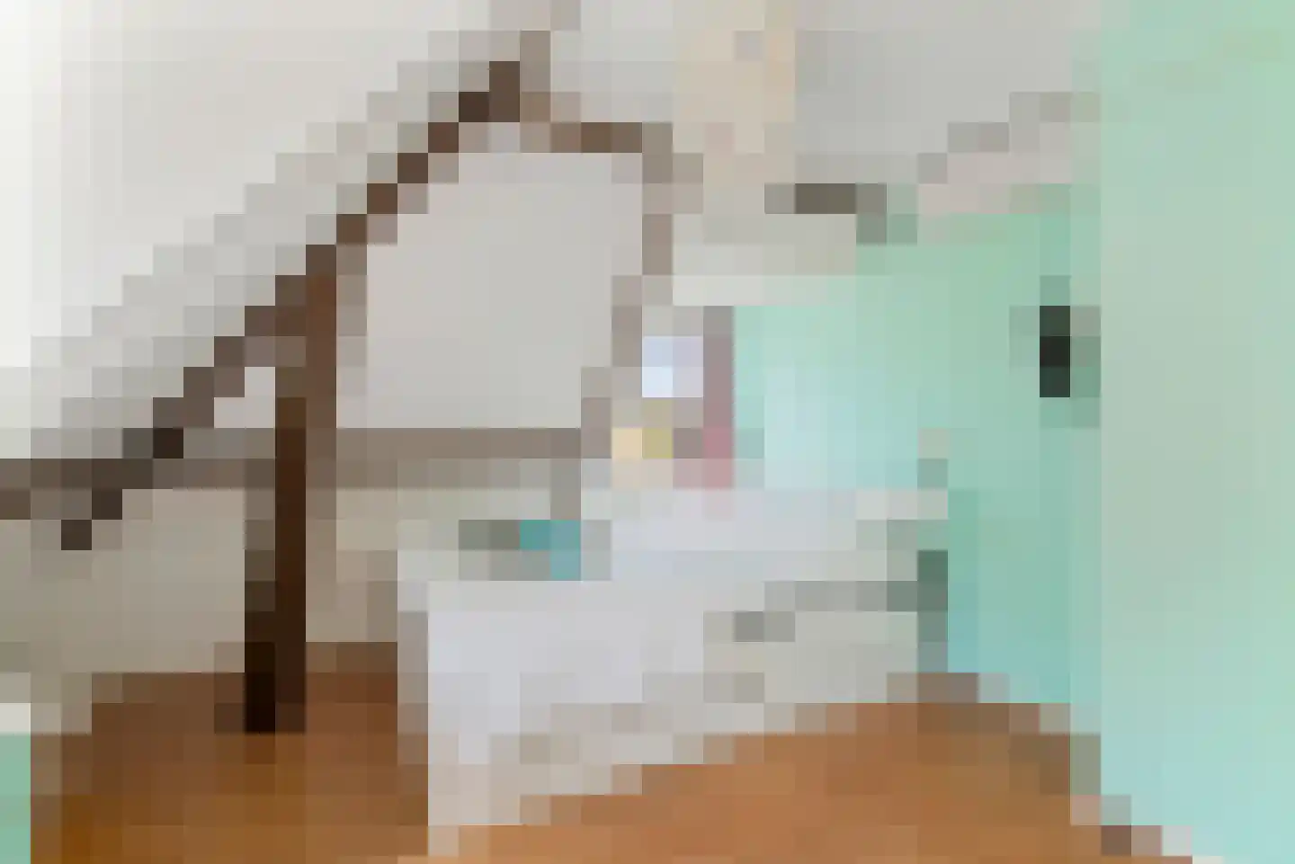 Schellinglaan 19 Voorburg thumbnail 47