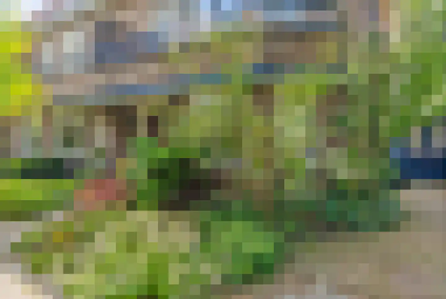 Schellinglaan 19 Voorburg thumbnail 9