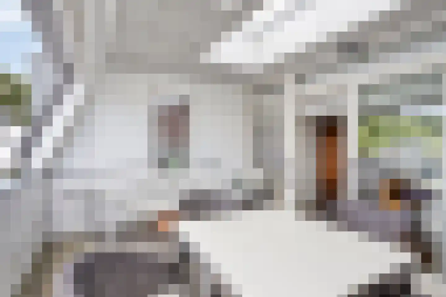 Schellingshof 27 Beek thumbnail 19