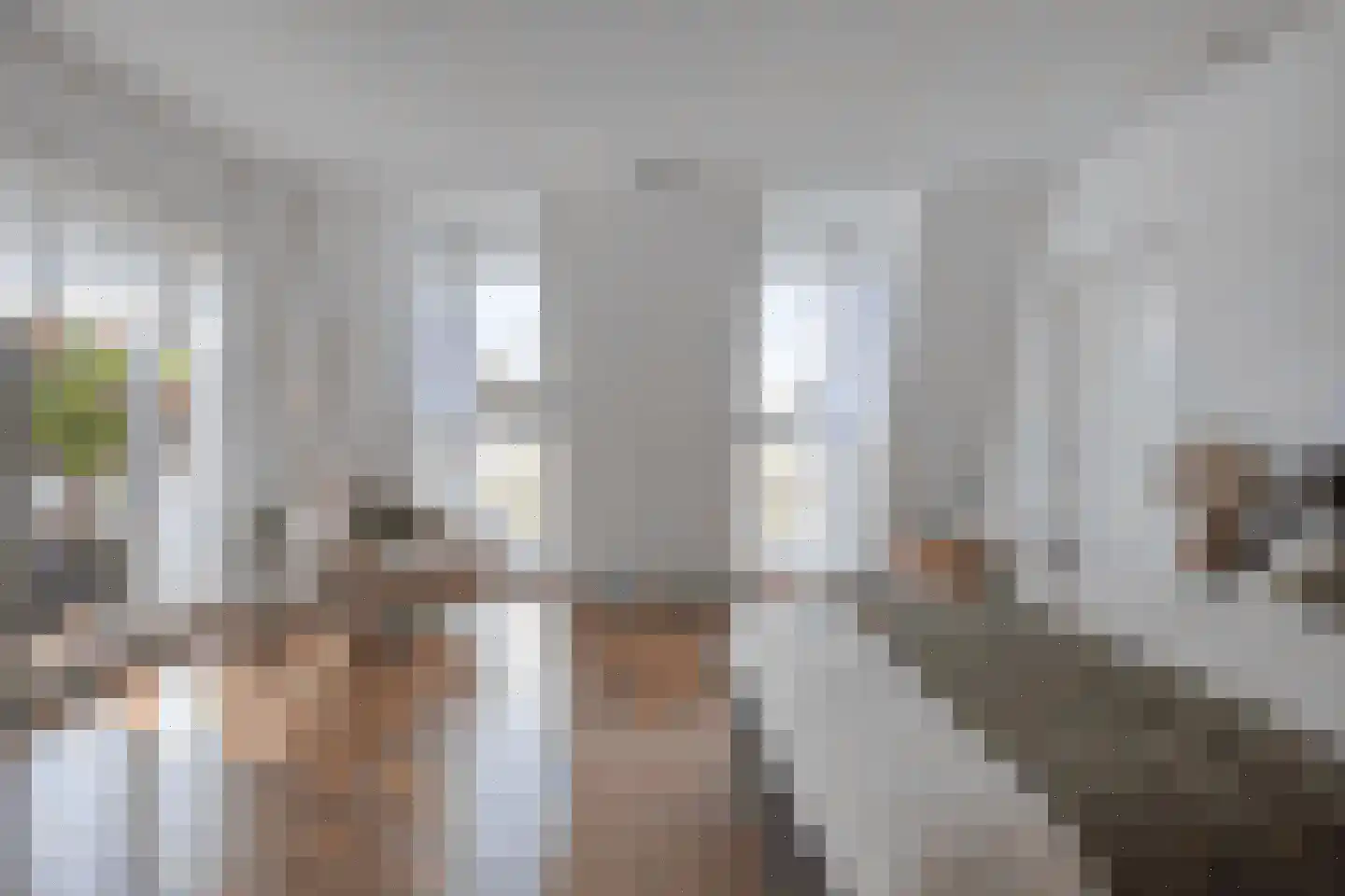 Schellingshof 27 Beek thumbnail 19
