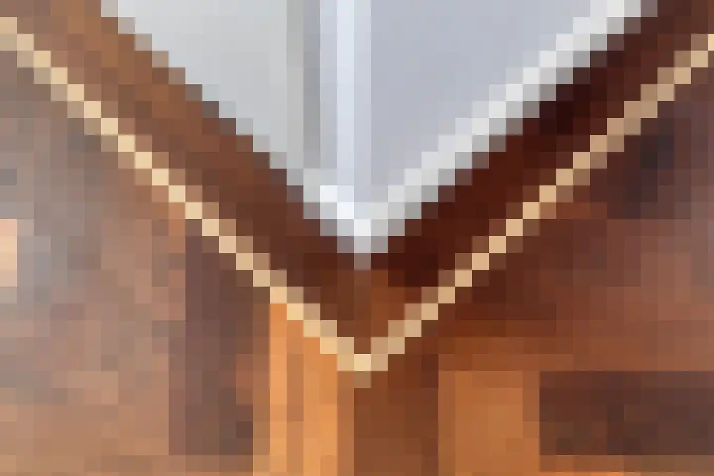 Schellingshof 27 Beek thumbnail 22