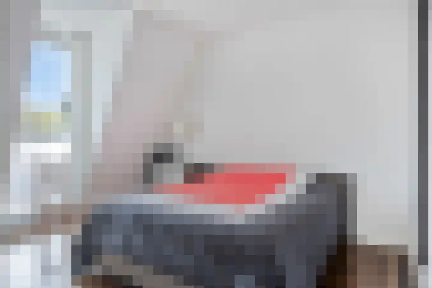 Schellingshof 27 Beek thumbnail 29