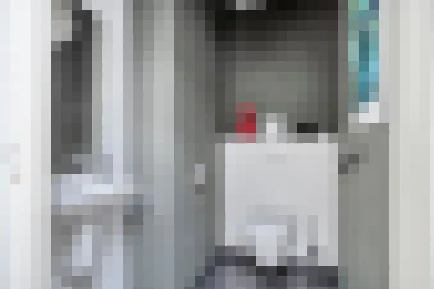 Schellingshof 27 Beek thumbnail 32