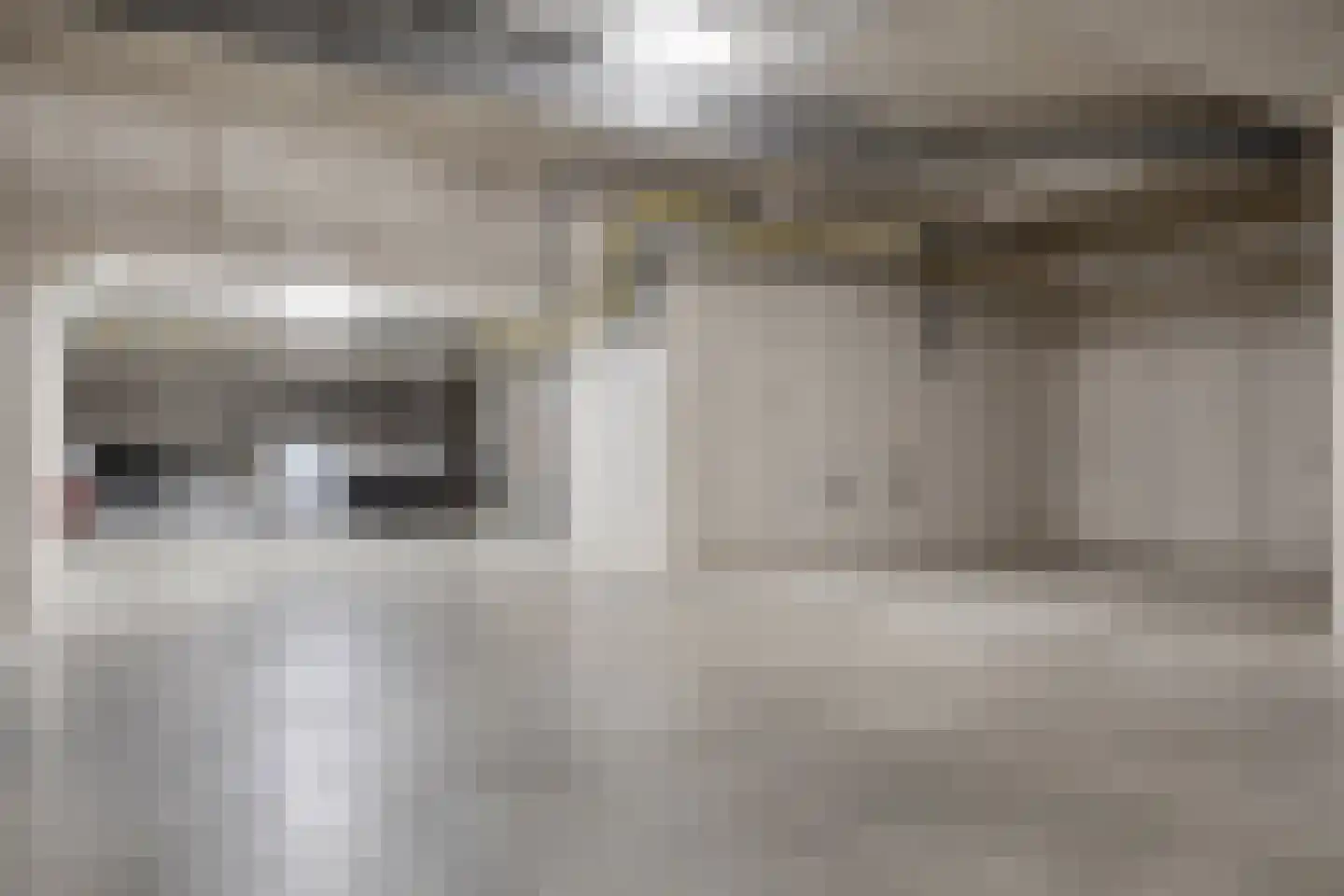Schellingshof 27 Beek thumbnail 41
