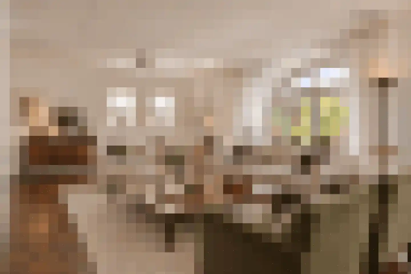 Schellingshof 27 Beek thumbnail 5