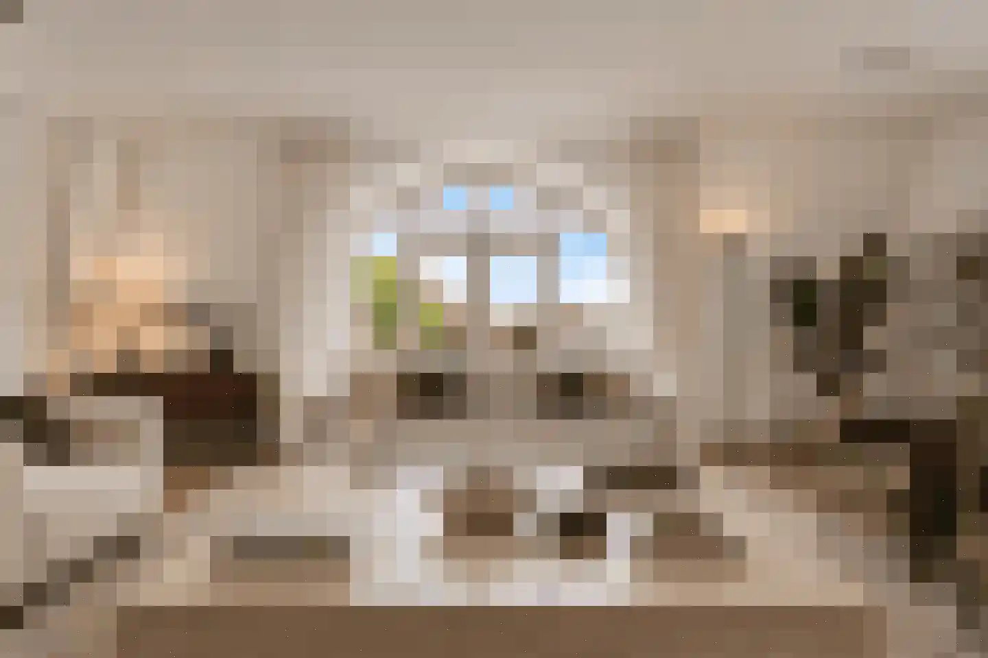 Schellingshof 27 Beek thumbnail 6