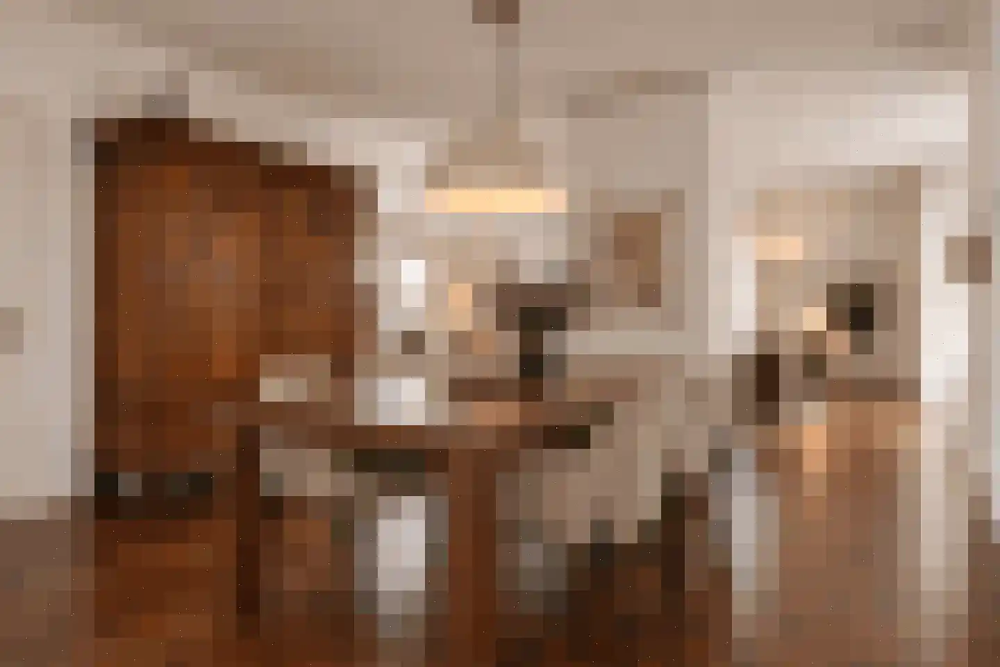 Schellingshof 27 Beek thumbnail 7