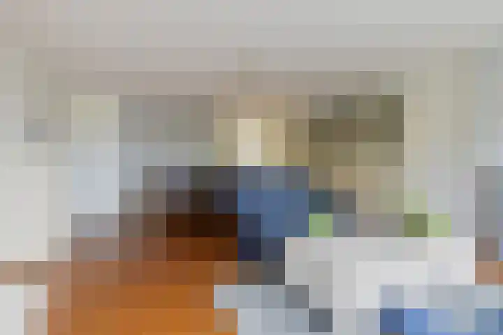 Schellingstraat 27 Delfgauw thumbnail 10