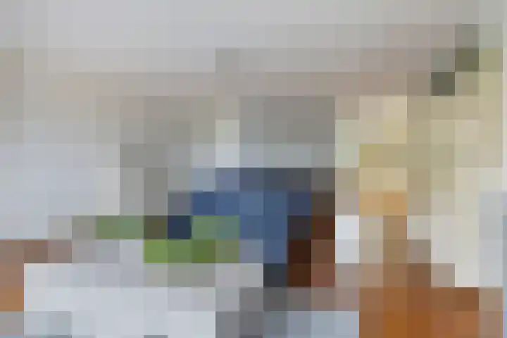 Schellingstraat 27 Delfgauw thumbnail 11