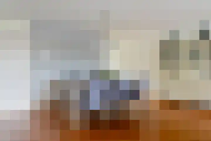 Schellingstraat 27 Delfgauw thumbnail 12