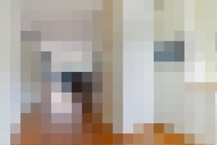 Schellingstraat 27 Delfgauw thumbnail 16