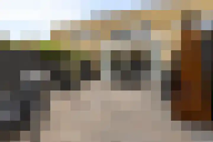 Schellingstraat 27 Delfgauw thumbnail 20
