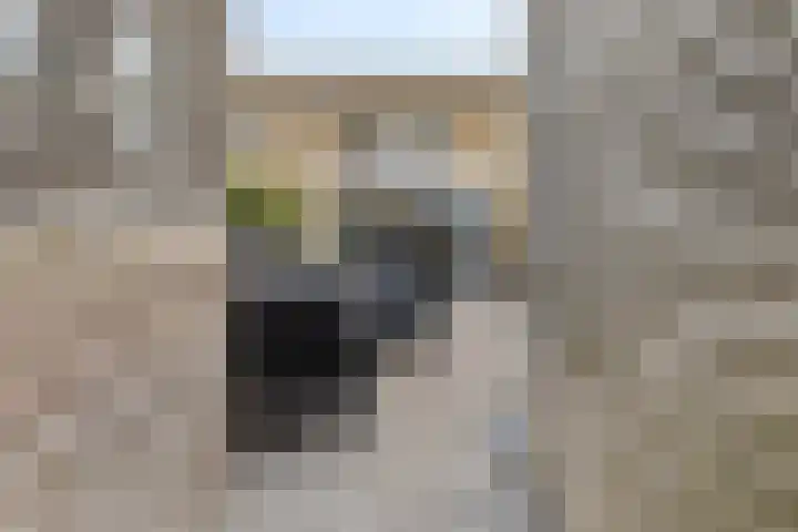 Schellingstraat 27 Delfgauw thumbnail 21