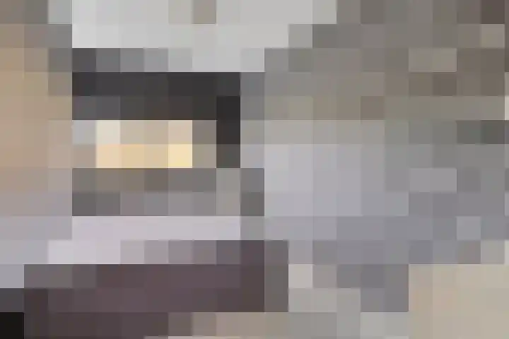 Schellingstraat 27 Delfgauw thumbnail 23