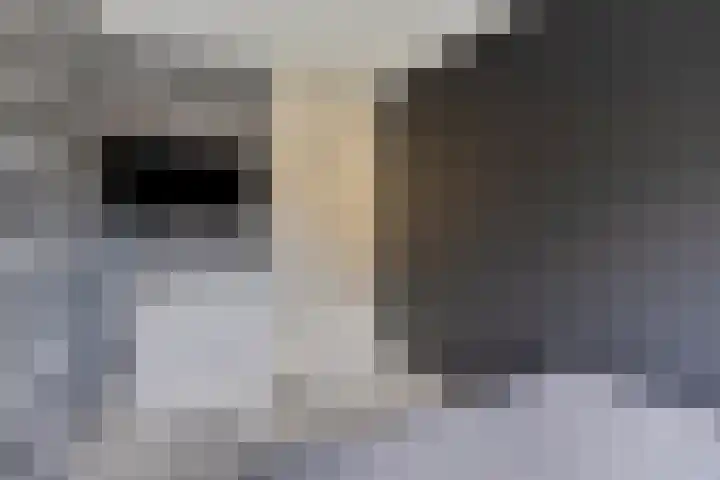 Schellingstraat 27 Delfgauw thumbnail 24