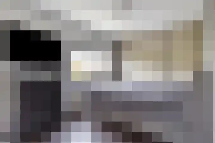 Schellingstraat 27 Delfgauw thumbnail 30