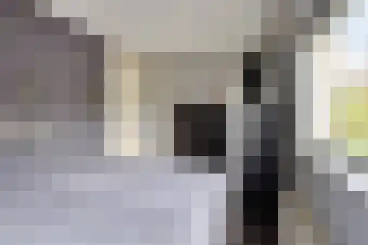 Schellingstraat 27 Delfgauw thumbnail 31